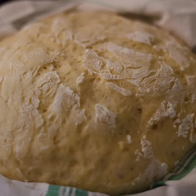 Miques
